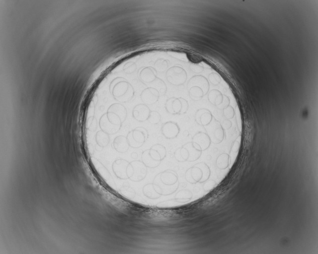 X0000115221046200912091216