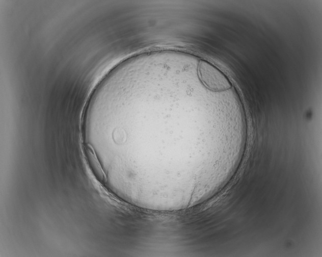 X0000115221047200912091216