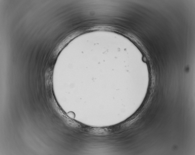 X0000115221049200912091216