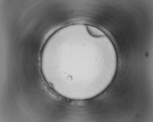 X0000115221051200912091216