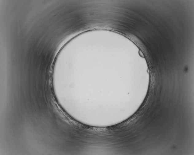 X0000115221052200912091216