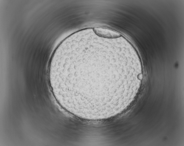 X0000115221053200912091216