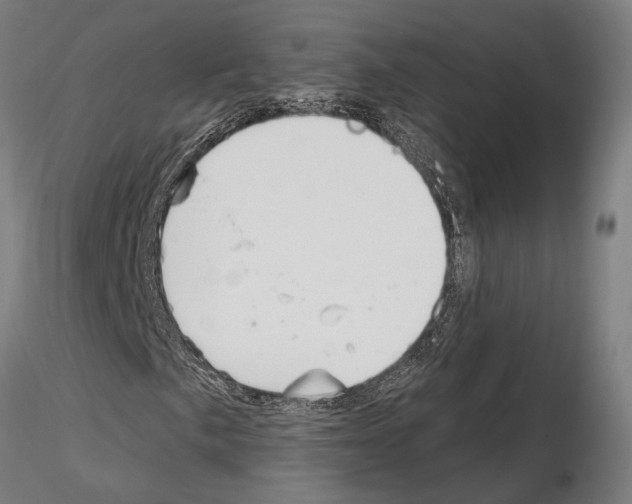 X0000115221057200912091215
