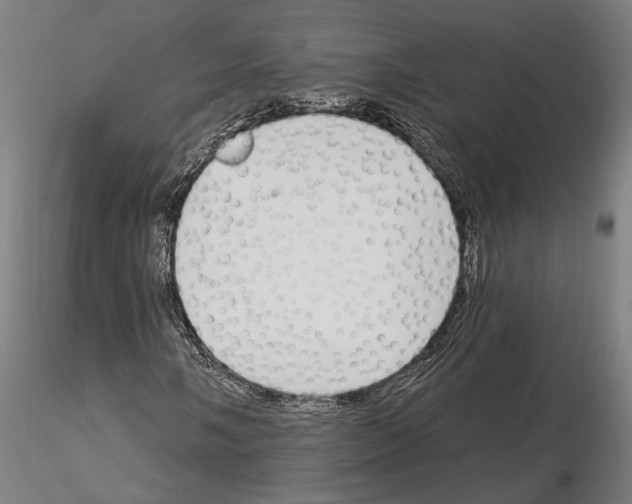 X0000115221058200912091215