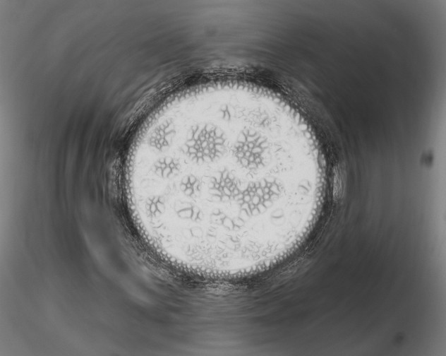 X0000115221059200912091215