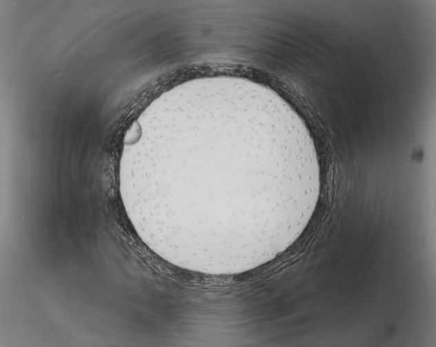X0000115221062200912091215