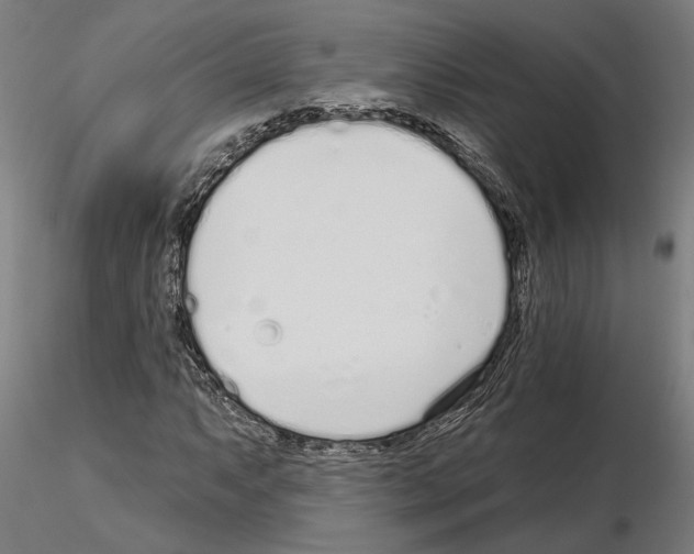 X0000115221063200912091215