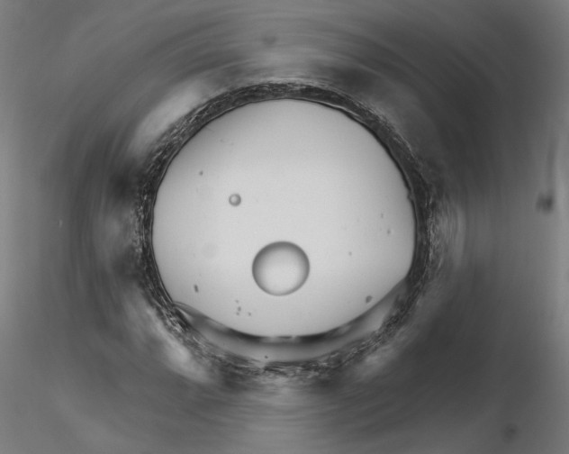 X0000115221064200912091215