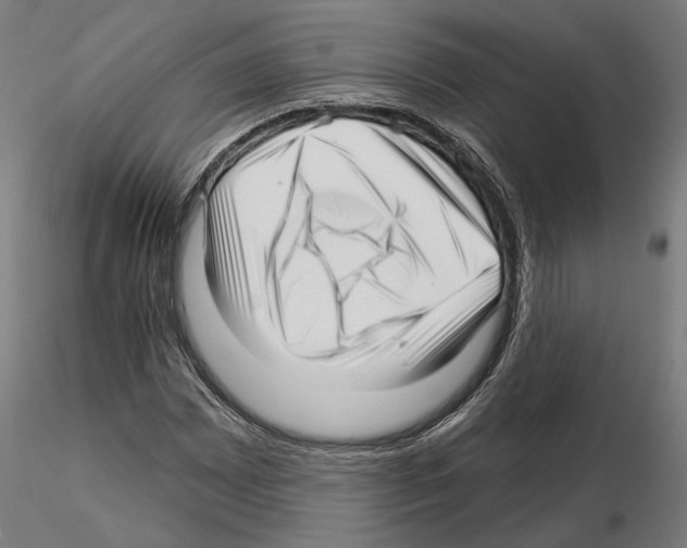 X0000115221065200912091215