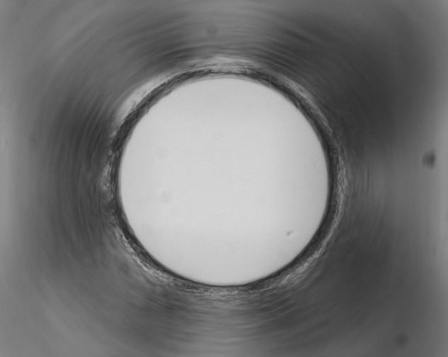 X0000115221066200912091215