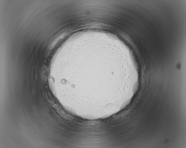 X0000115221067200912091215