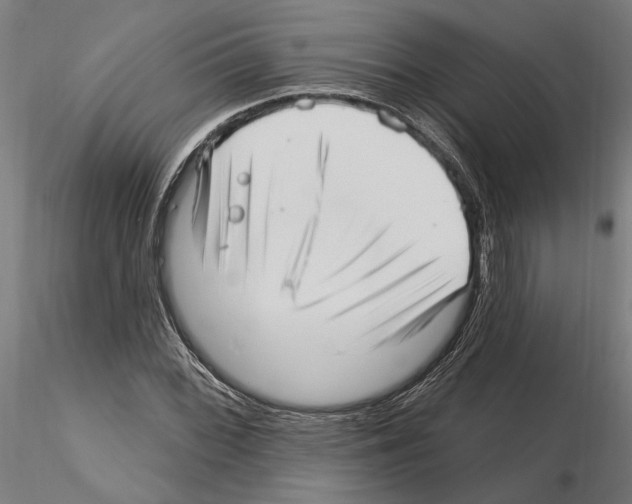 X0000115221068200912091215