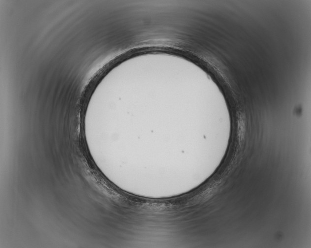 X0000115221069200912091215