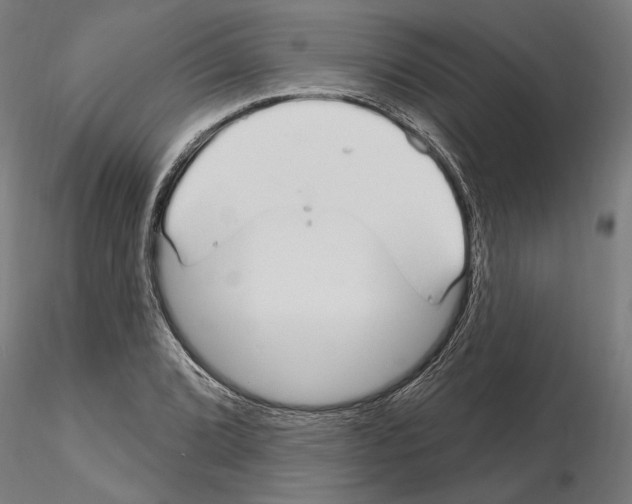 X0000115221072200912091215