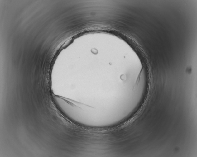 X0000115221073200912091215