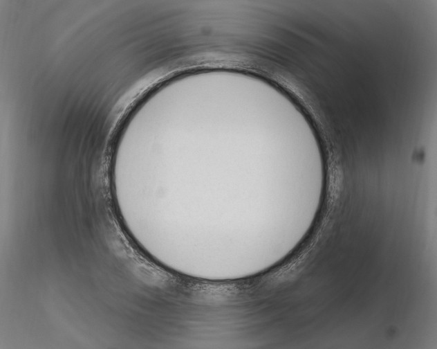 X0000115221074200912091215