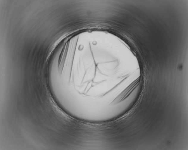 X0000115221075200912091215