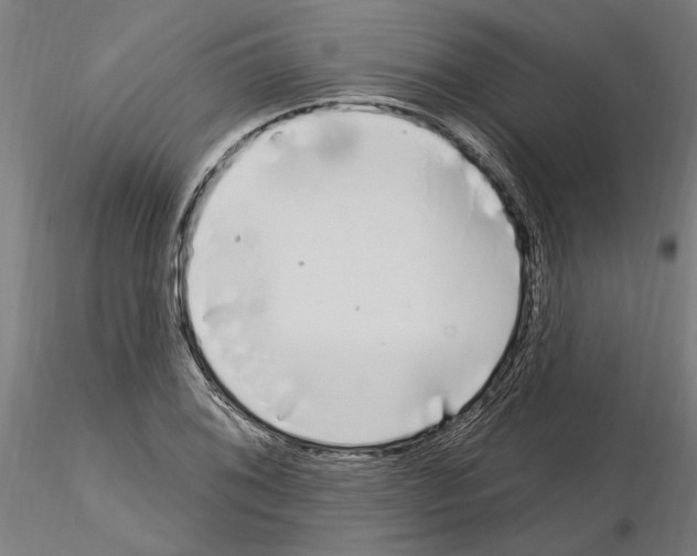 X0000115221076200912091215