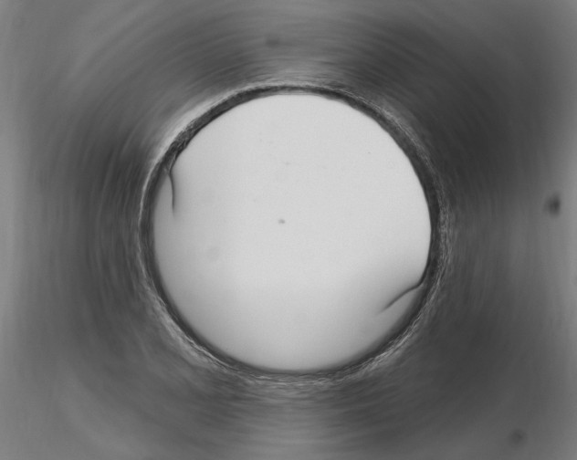 X0000115221077200912091215