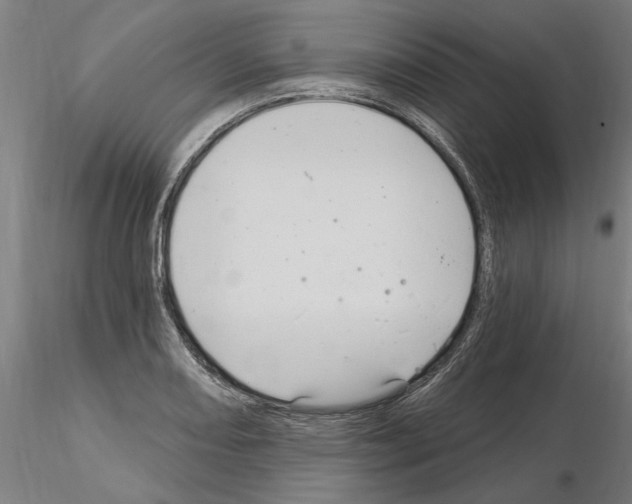 X0000115221082200912091215
