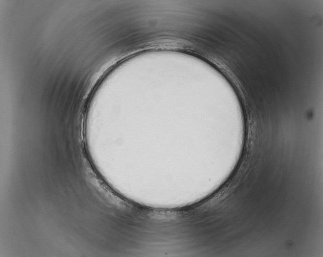 X0000115221083200912091215