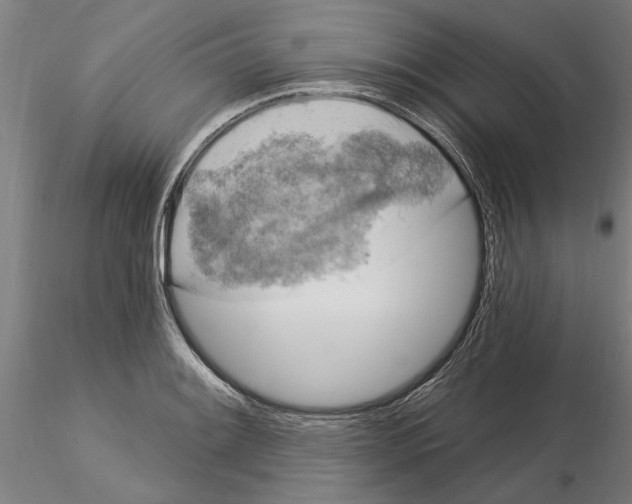 X0000115221084200912091215