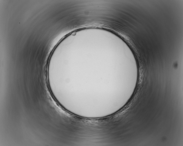 X0000115221086200912091215