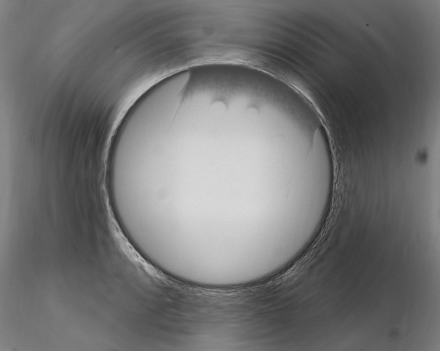 X0000115221088200912091215