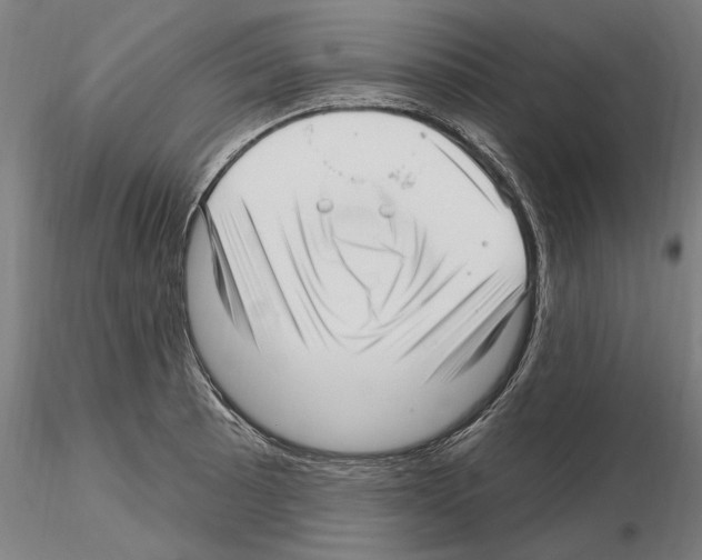 X0000115221089200912091215