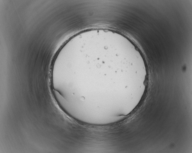 X0000115221093200912091215