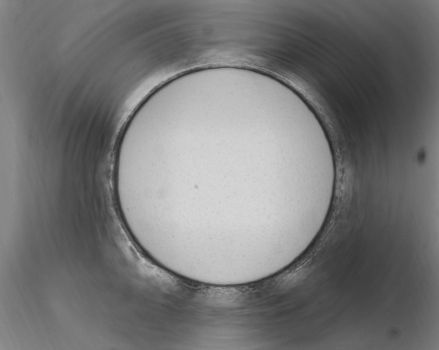 X0000115221094200912091215
