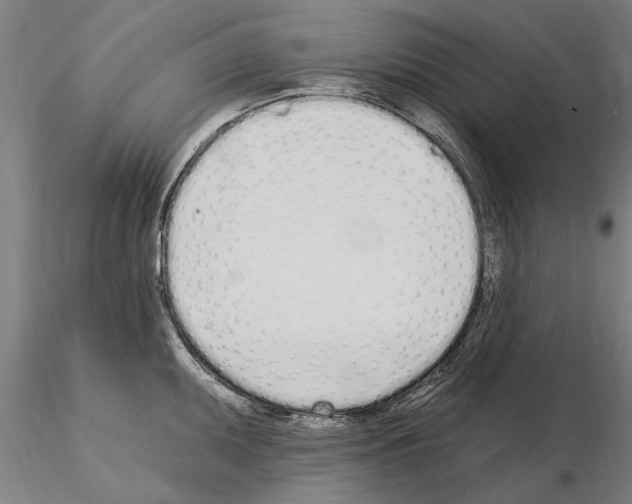 X0000115221095200912091215