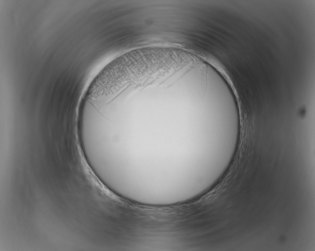X0000115221096200912091215