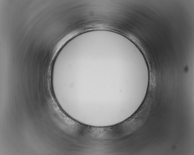 X0000115221098200912091215