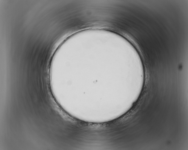 X0000115221099200912091215