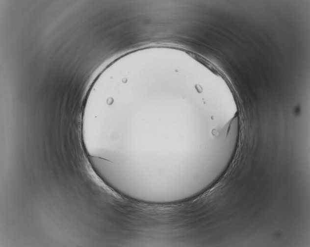 X0000115221100200912091215