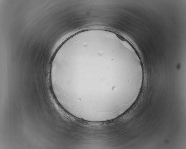 X0000115221101200912091215