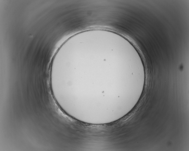 X0000115221102200912091215