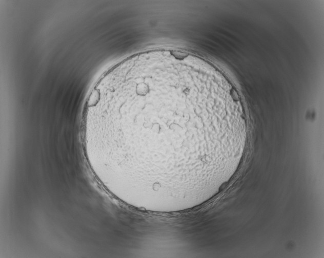 X0000115221104200912091215