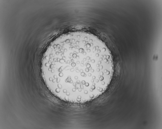 X0000115221105200912091214