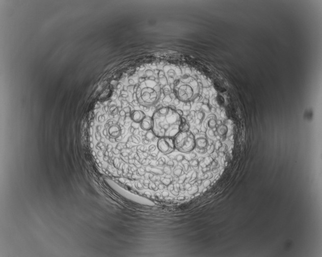 X0000115221106200912091214