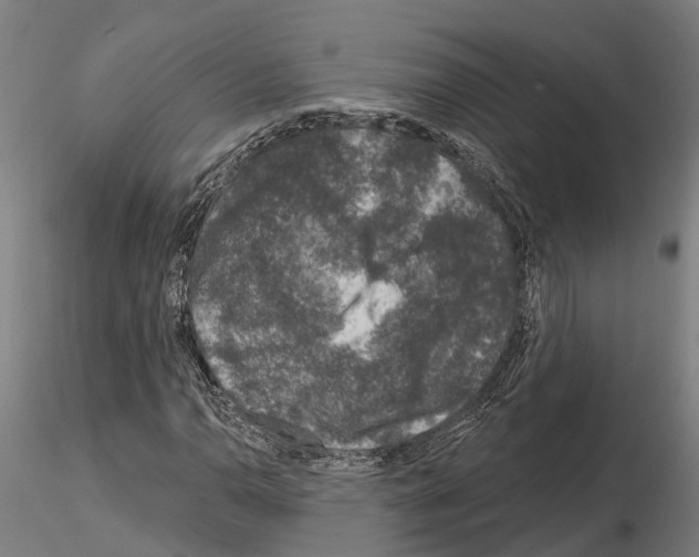 X0000115221110200912091214