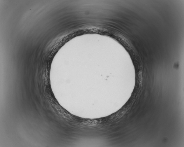 X0000115221111200912091214