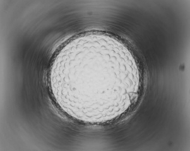 X0000115221113200912091214