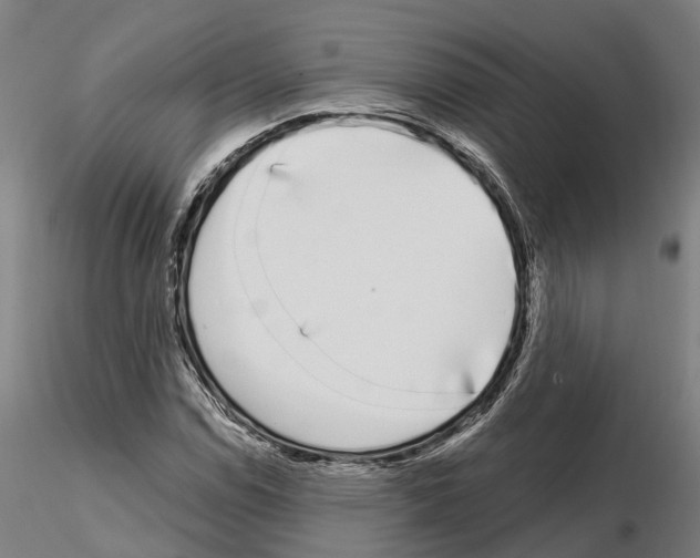 X0000115221114200912091214