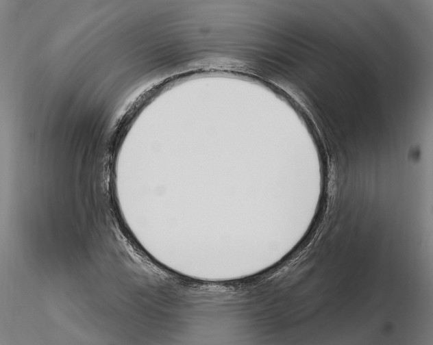 X0000115221115200912091214