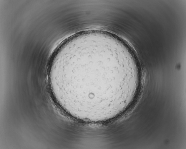 X0000115221117200912091214