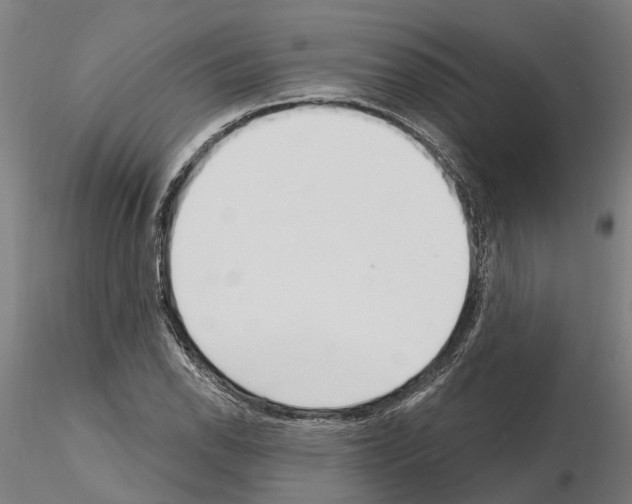 X0000115221118200912091214