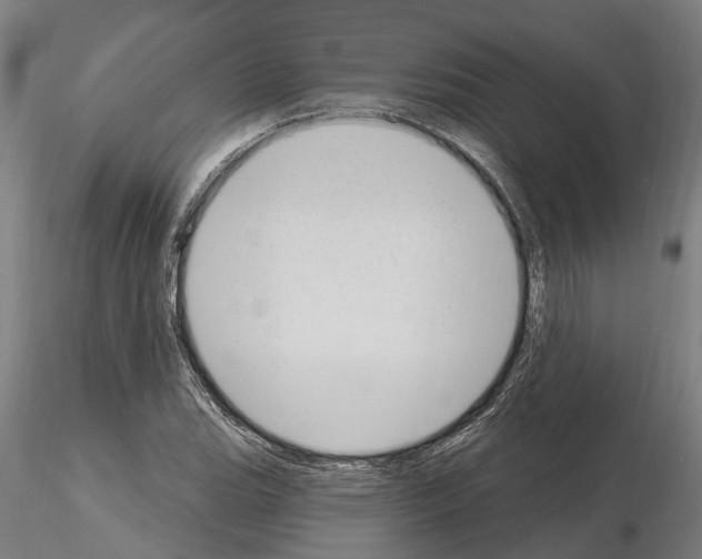 X0000115221119200912091214