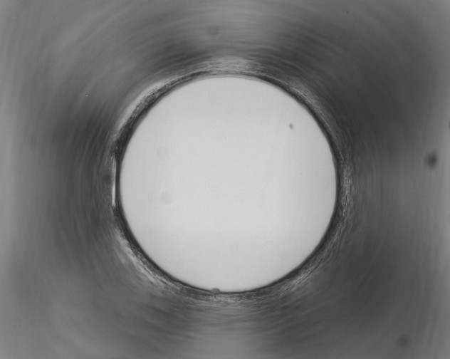X0000115221123200912091214